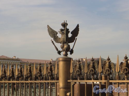Орлы на ограде Александровской колонны. Фото 18 марта 2015 года.