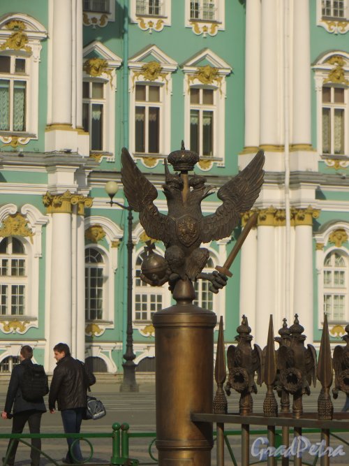 Угловой орёл на ограде Александровской колонны. Фото 18 марта 2015 года.