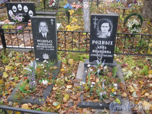Пос. Стрельна, Стрельнинское кладбище. Захоронение А.И. и Н.Я. Родных. Фото 16 октября 2014 г.