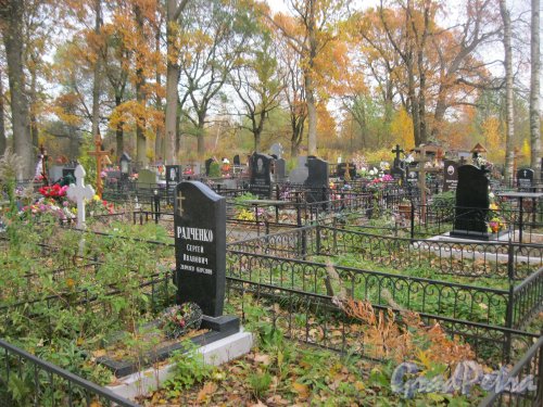 Пос. Стрельна, Стрельнинское кладбище. Захоронение С.И. Радченко. Фото 16 октября 2014 г.