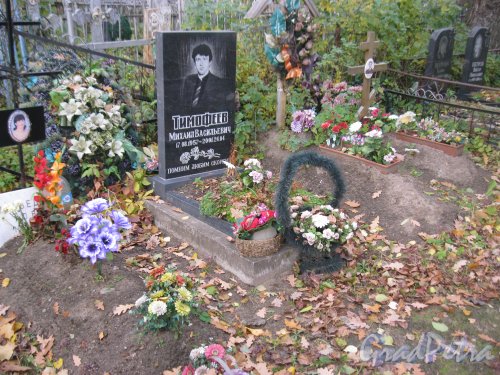 Пос. Стрельна, Стрельнинское кладбище. Захоронение М.В. Тимофеева. Фото 16 октября 2014 г.