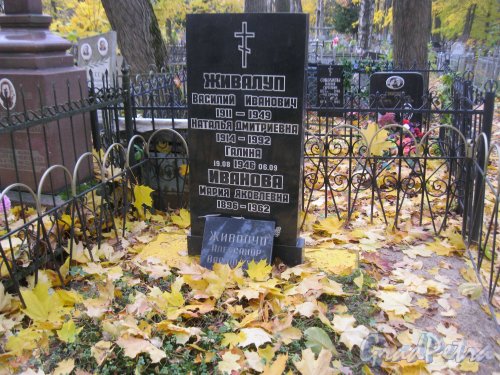 Пос. Стрельна, Стрельнинское кладбище. Захоронение семьи Живалуп и М.Я. Ивановой. Фото 16 октября 2014 г.