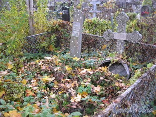 Пос. Стрельна, Стрельнинское кладбище. Захоронение Н.М. Алексеева. Фото 16 октября 2014 г.