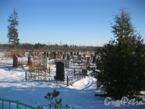 Кладбище «Пижма». Фрагмент. Фото 10 февраля 2017 г.