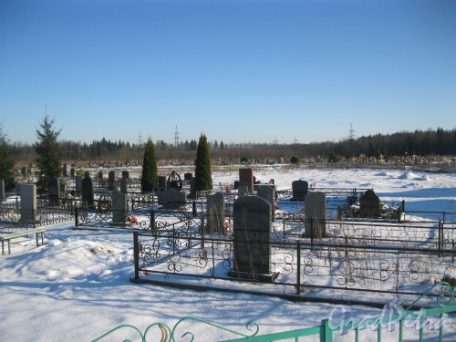 Пижменское кладбище. Фрагмент. Фото 10 февраля 2017 г.