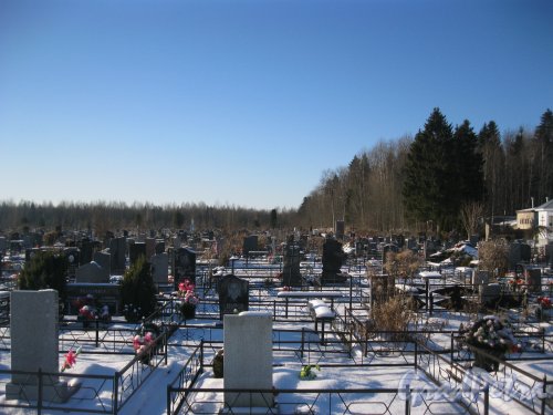 Пижменское кладбище. Фрагмент. Фото 10 февраля 2017 г.