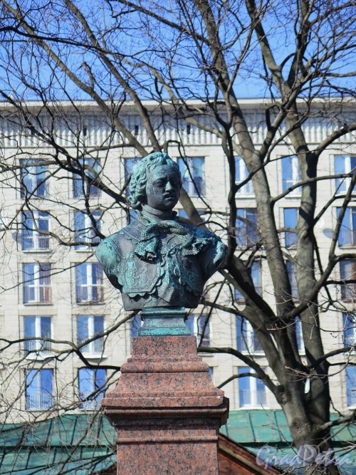 Памятник-бюст Петру 1 на Петровской наб., 1875, ск. П.П. Забелло. Голова Петра. фото апрель 2018 г.