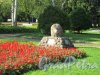Вид памятника павшим финским воинам открытого в 1993 году с клумбой у д. 13 по пр. Ленина (Зеленогорск). фото сентябрь 2018 г.