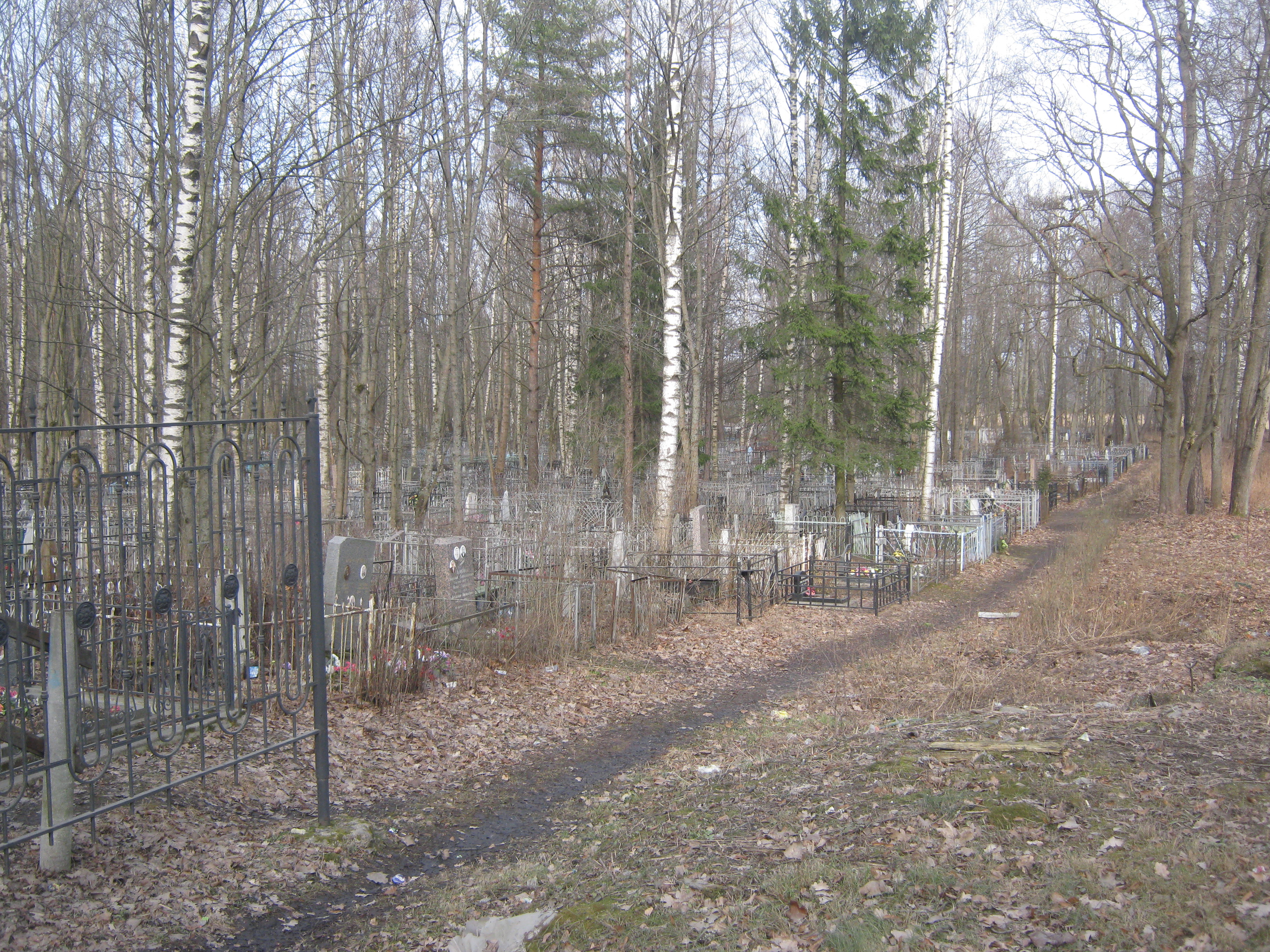 Мартышкинское кладбище Санкт-Петербург