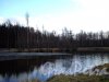 Сосновский лесопарк. Собачье озеро (Восьмерка, Бублик). Фото апрель 2013 г.