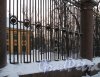 Летний сад. Невская решетка зимой. Фото январь 2011 г. 