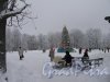 Центральный культуры и отдыха (ЦПКиО). Каток с новогодней елкой. Фото январь 2010 г.