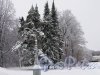 Центральный культуры и отдыха (ЦПКиО). Масляный луг зимой. Фото январь 2010 г.
