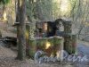 Шуваловский парк. Руины павильона «Холодные бани». Фото апрель 2014 г.
