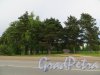Парк Защитников Отечества в городе Приозерске. Общий вид. Фото 4 июля 2014 года.