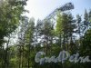 Исторический парк «Марьина гора» около пос. Молодёжное между Приморским и Средневыборгским шоссе. Вид на трамплин. Фото 4 июня 2014 г.