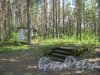 Исторический парк «Марьина гора» около пос. Молодёжное между Приморским и Средневыборгским шоссе. Остатки строений. Фото 4 июня 2014 г.