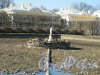 г. Петергоф, Верхний парк. Западный фонтан квадратных прудов. Фрагмент. Фото 9 апреля 2014 г.