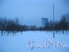 Парк 300-летия Петербурга. Одна из аллей. Фото 8 января 2015 г.
