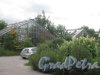 Таврический сад. Одна из крытых садовых оранжерей. Фото июль 2014 г.
