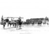 Группа чинов стражи на Марсовом поле во время смотра в день 10-летия конно-полицейской стражи. Фото 11 июня 1908 года.