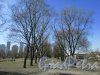 Перспектива аллеи Пулковского парка от Московского шоссе в сторону Дунайского проспекта. Фото 22 марта 2016 года.