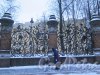 Михайловский сад. Решетка сада со стороны канала Грибоедова зимой в вечернем освещении. фото январь 2015 г.