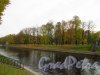 Общий вид Михайловского сада со стороны реки Мойки. Фото 20 октября 2016 года.