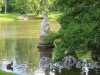 Верхний парк (Ораниенбаум). Китайский пруд. Статуя «Иона». фото август 2015 г