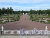 Нижний парк (Ораниенбаум), заложен в 1712 г. Вид с верхнего яруса террасы Меншиковского дворца. фото август 2015 г.