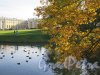 Александровский парк (Пушкин). Фасадный пруд и Александровский дворец. фото октябрь 2015 г.