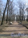 Парк Каменноостровского дворца. Центральная Аллея с видом на Дворец. фото март 2016 г.