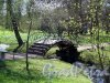 Ботанический сад. Железный декоративный мостик через канал. фото май 2016 г.