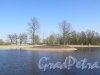 Луговой парк. Большой круглый пруд. фото май 2016 г.
