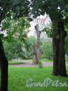 Парк-эспланада. Деревянная скульптура «Святое семейство». Общий вид в структуре Парка. фото 2016 г.