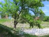 Овражный парк (Кронштадт). Вид на берег Докового бассейна. фото июнь 2017 г.