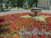Парк Каменноостровского дворца. Клумба на Дворцовой площадке (Клумба с гранотной вазой). фото июль 2017 г.
