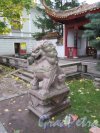 Сквер Дружбы. Каменный лев, установлен в 2003 г. авт. Шанхайская садоводческая компания. Вид в профиль. фото октябрь 2017 г. 
