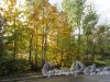 Культуры и отдыха парк (Выборг). Лесопарк на Батарейной горе. фото октябрь 2017 г.