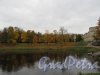 Гатчинский парк (Дворцовый). Карпин пруд. Общий вид. фото октябрь 2017 г.