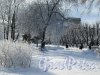 Сад без названия у станции метро «Кировский завод» часть сада вдоль Пр. Стачек. Фото февраль 2018 г.