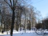 Сад Сан-Галли (Лиговский пр., 60-62-Ул. Черняховского, 62). Общий вид сада. фото февраль 2018 г.