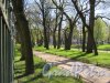 Таврический сад. Аллея сада вдоль Таврической улицы с видом на Музей А.В. Суворова в глубине. фото май 2018 г. 