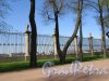 Летний сад, Вид Невской Ограды со стороны сада. фото май 2018 г.