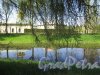 Екатерининский парк (Пушкин). Вид Продольного пруда Китайской деревни. фото май 2018 г.