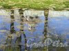 Екатерининский парк (Пушкин). Продольный пруд с отражением в воде. фото май 2018 г.