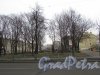 Вид на Прилукский сквер (сквер б/н № 17124) со стороны Прилукской улицы. Фото 3 марта 2020 г.
