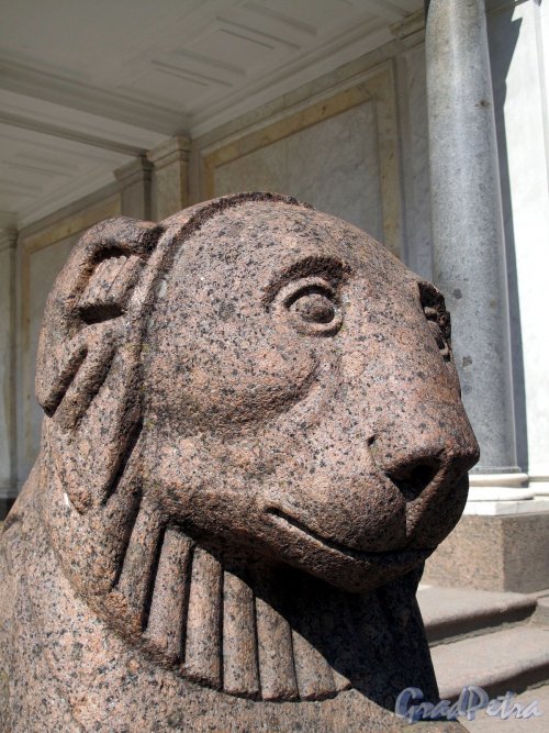 Нижний парк (Петергоф). Воронихинские колоннады. Фрагмент скульптуры льва. Фото август 2011 г.