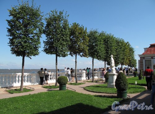 Нижний парк (Петергоф). Дворец Монплезир. Морская балюстрада и залив. Фото август 2011 г.