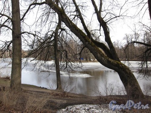 Центральный культуры и отдыха (ЦПКиО). Вид на 3-й Южный пруд. Фото апрель 2011 г.